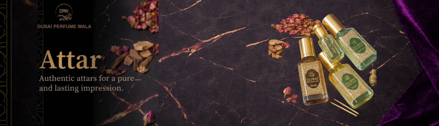 Frame 1000002275 (2)